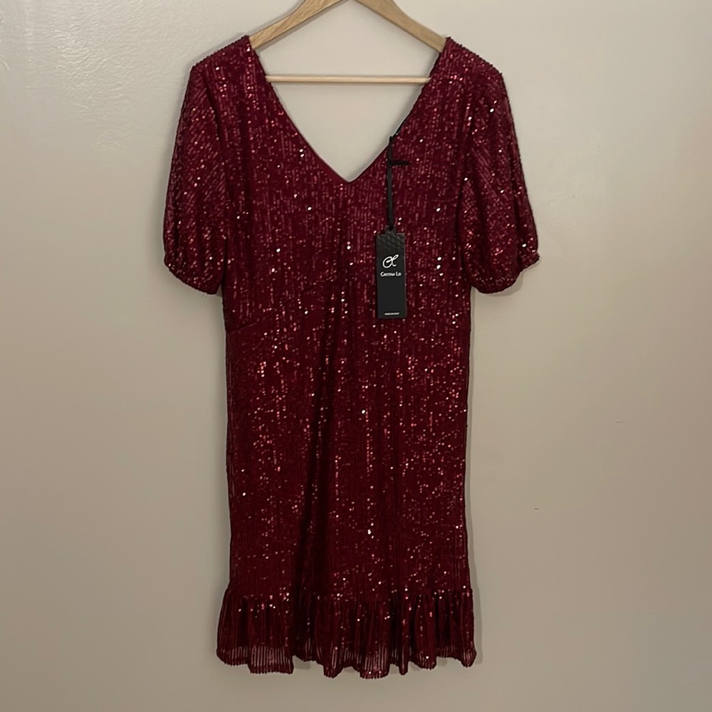NWT Cristina Lei Sequin Dress. Large